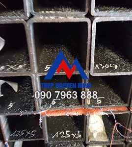 Click để xem hình đầy đủ THÉP HỘP VUÔNG 125X125X5MM